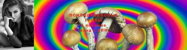 а пвп мука Горно-Алтайск