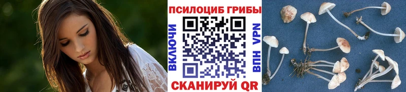 Псилоцибиновые грибы ЛСД  Южно-Сахалинск 